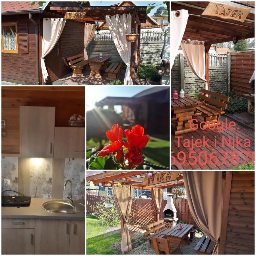 Tajek Villa Stegna  Luaran gambar